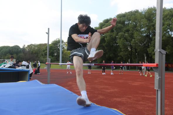 81ed4a2a77d5d462c084e27af698bfc